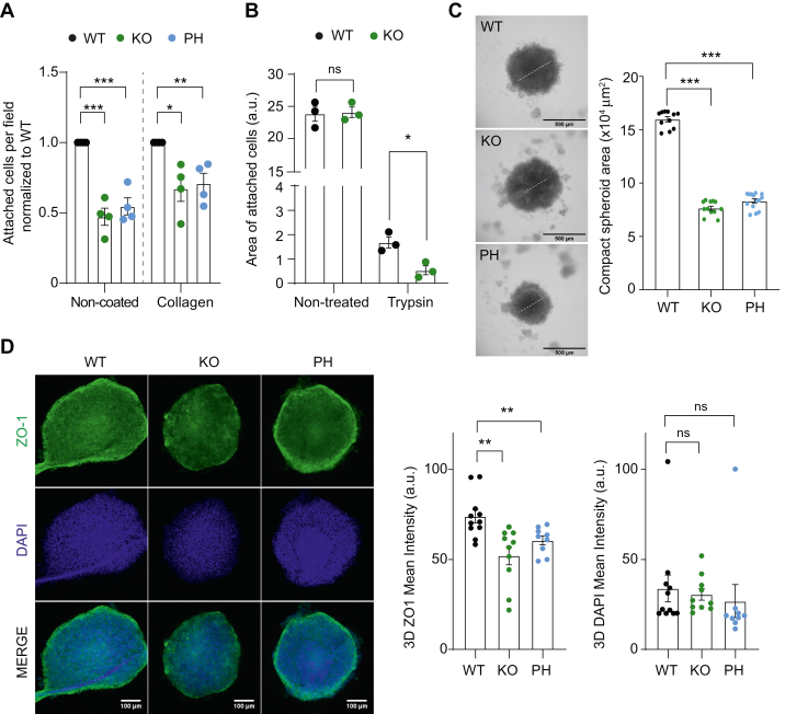 Fig. 6