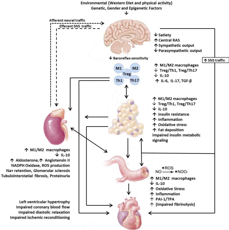 Fig.1