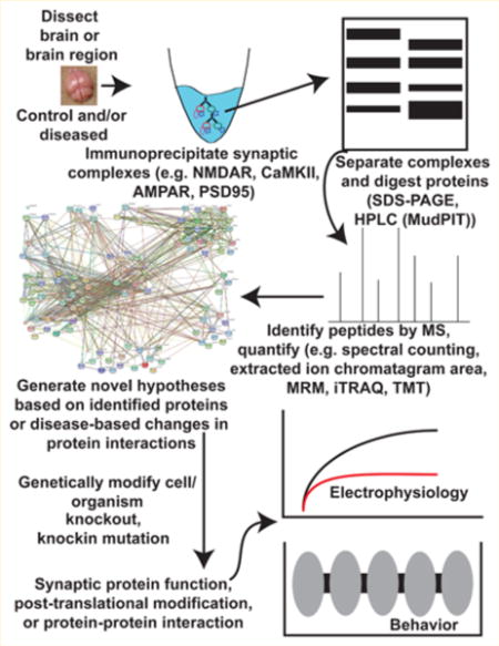 graphic file with name nihms875589u1.jpg