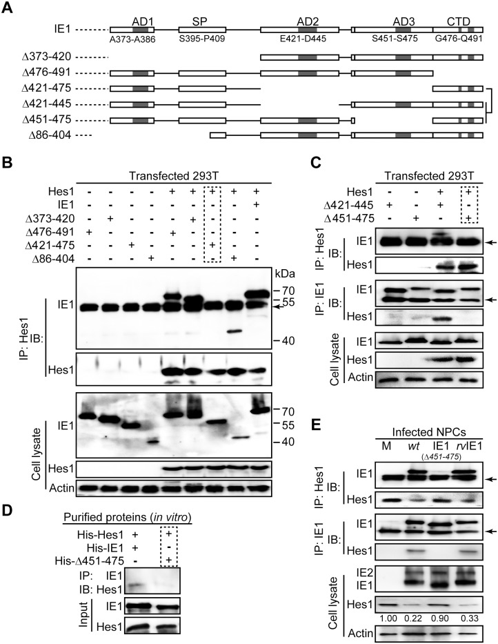 Fig 4