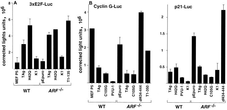 FIG. 6