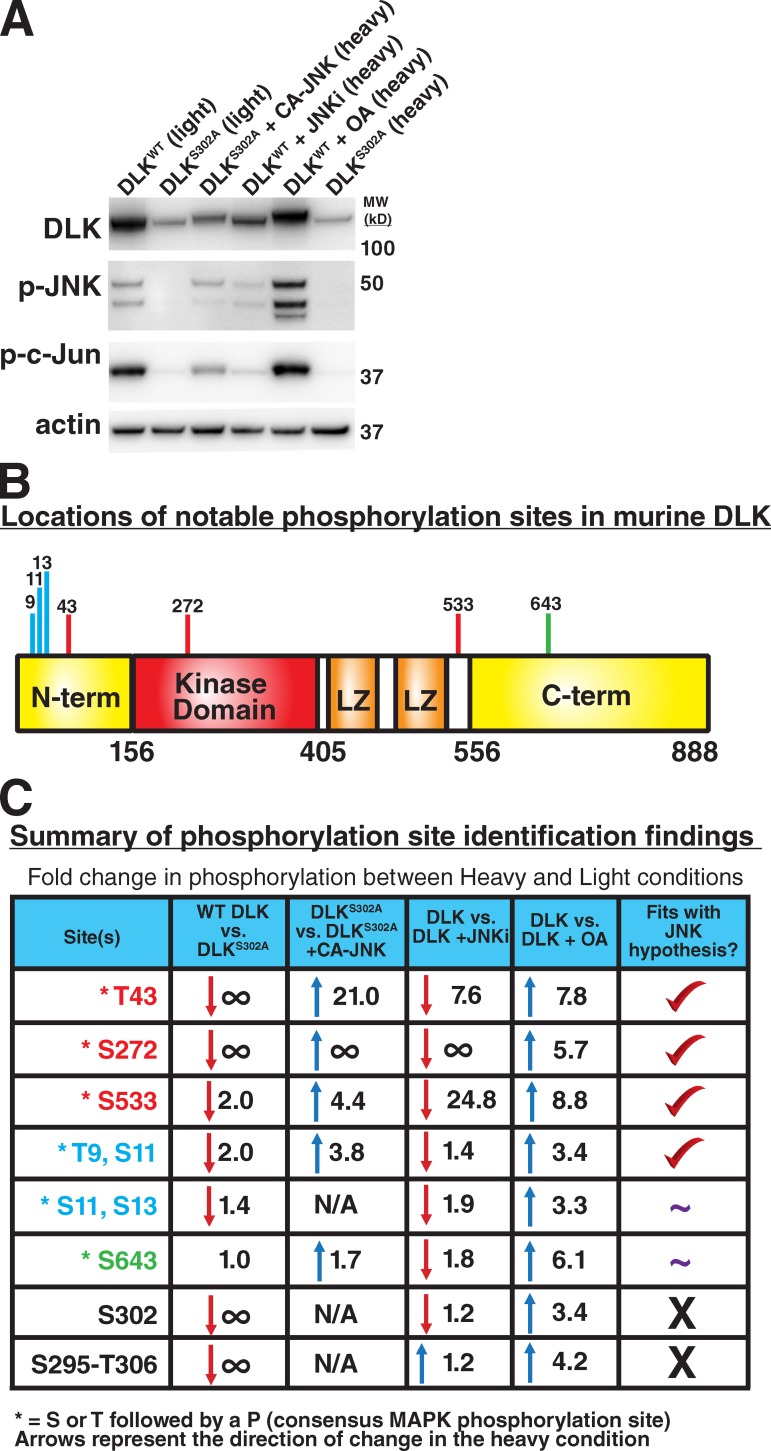 Figure 7.