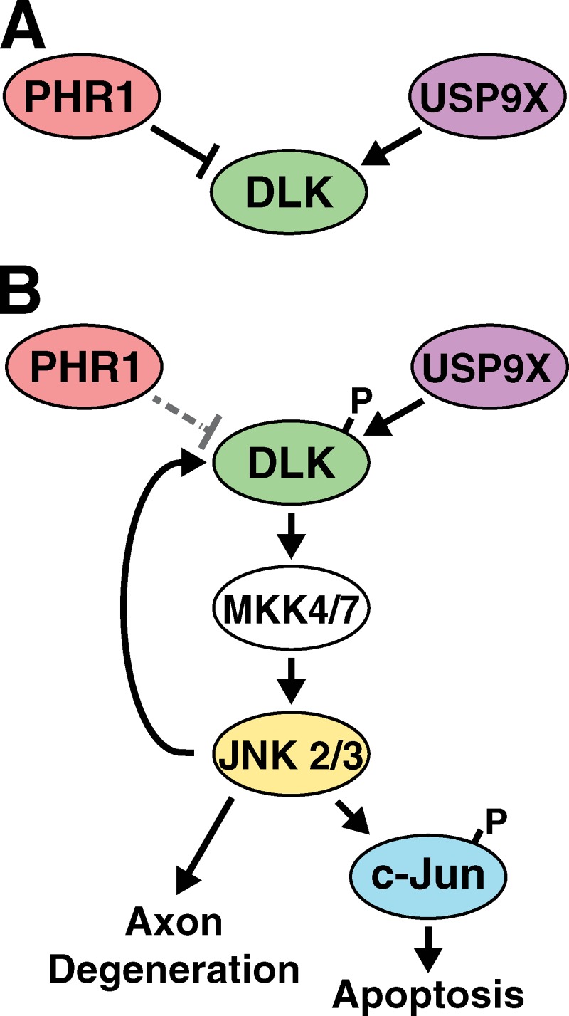 Figure 9.