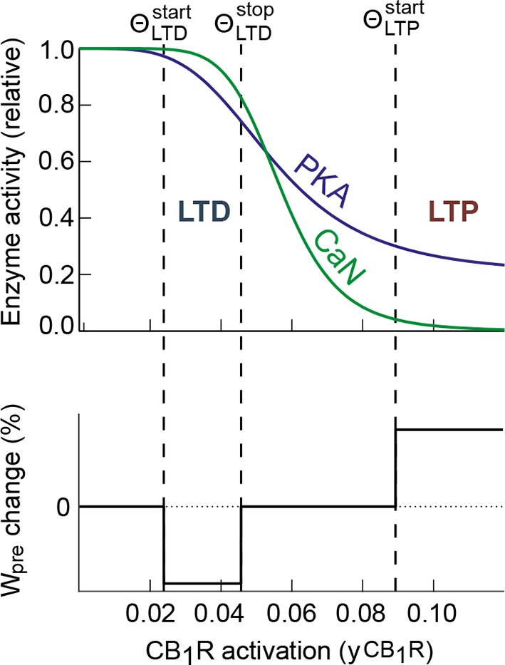 Figure 10—figure supplement 1.