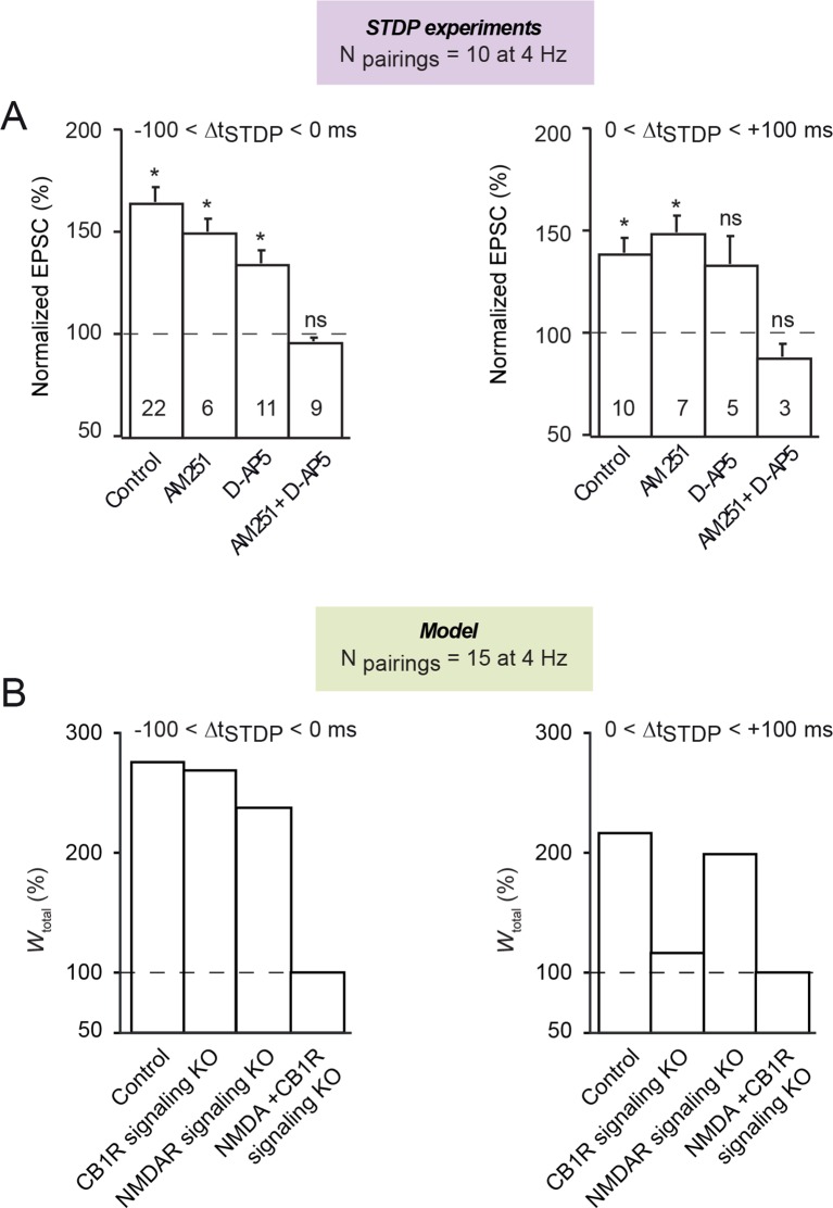 Figure 5—figure supplement 1.