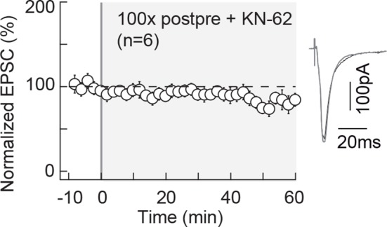 Figure 1—figure supplement 1.