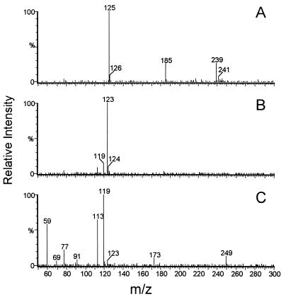 FIG. 6