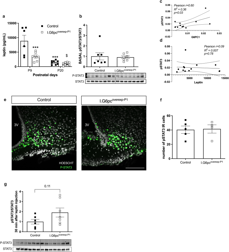 Figure 5