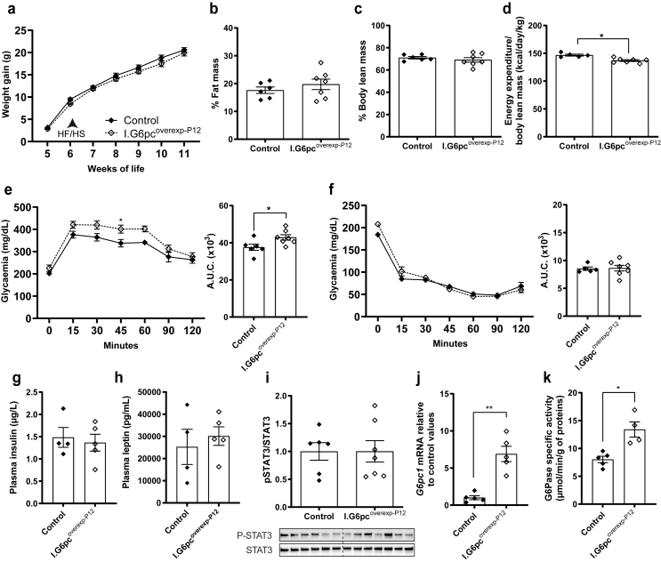 Figure 7