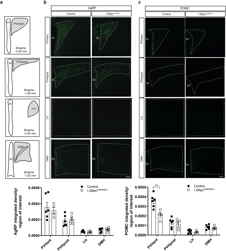 Figure 3