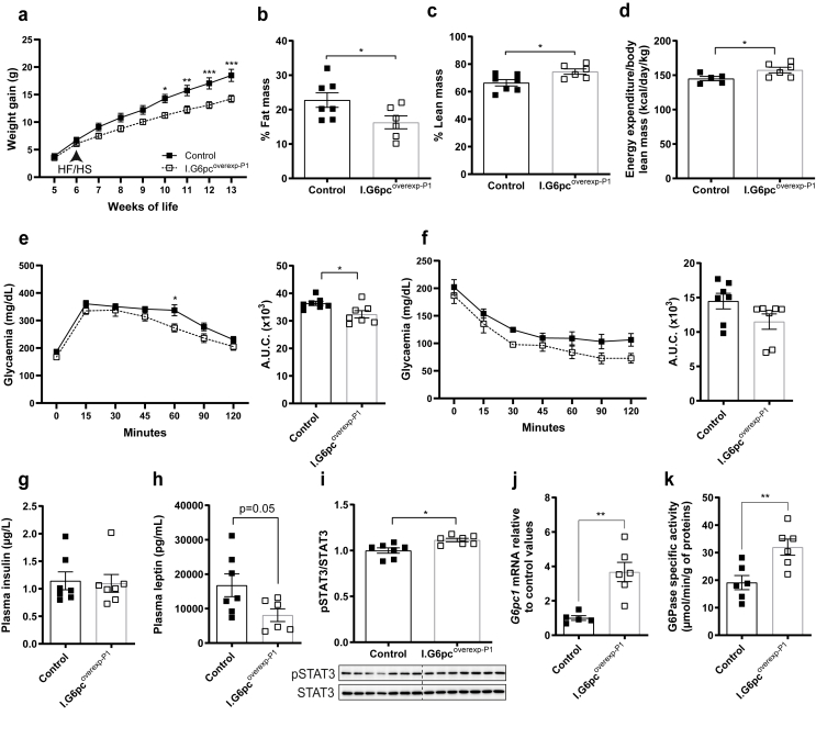 Figure 6