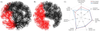 Fig 12