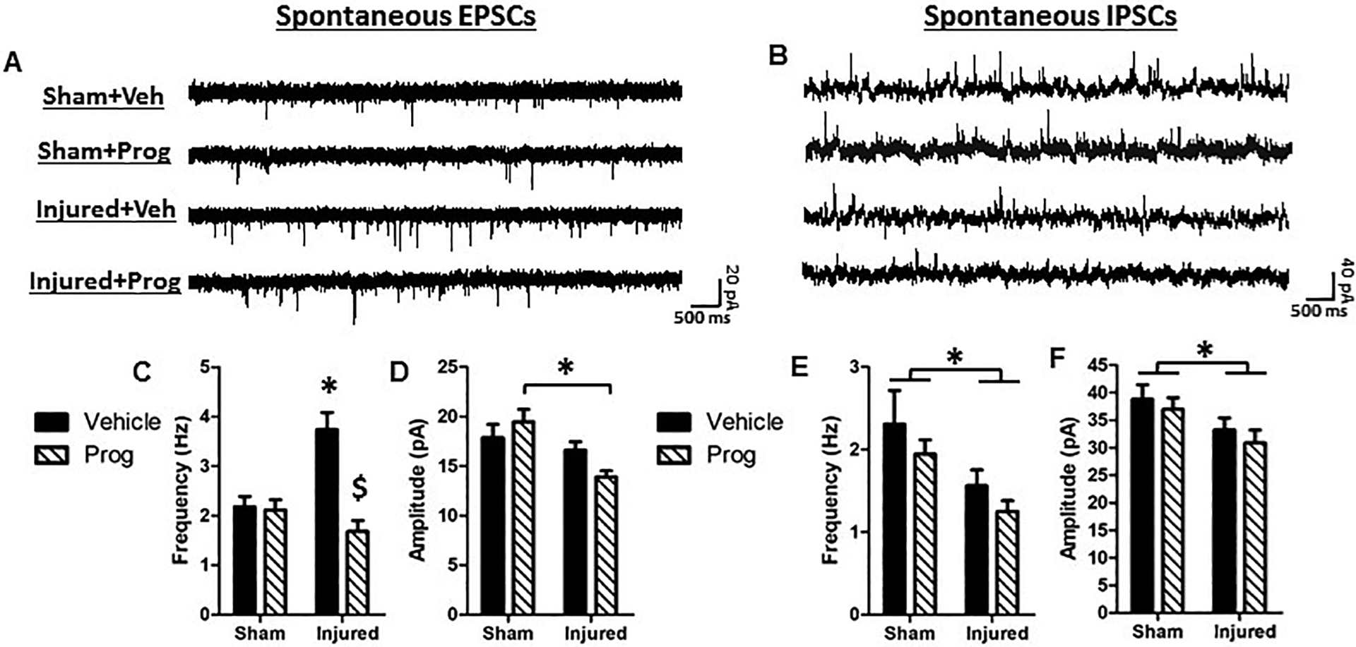 Figure 5: