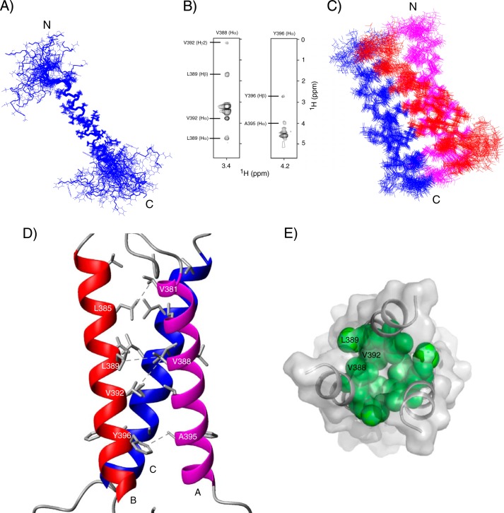 FIGURE 4.