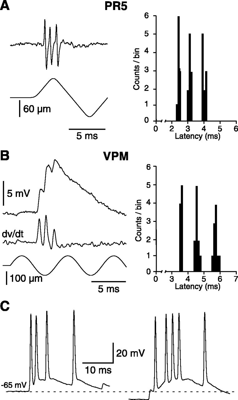 Figure 10.