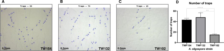 Fig 6