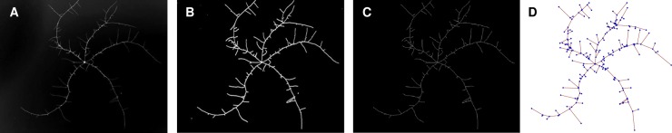 Fig 8