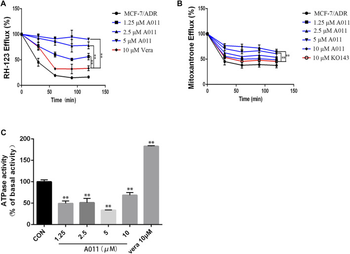 FIGURE 4