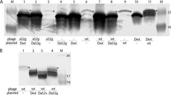 FIG. 7.