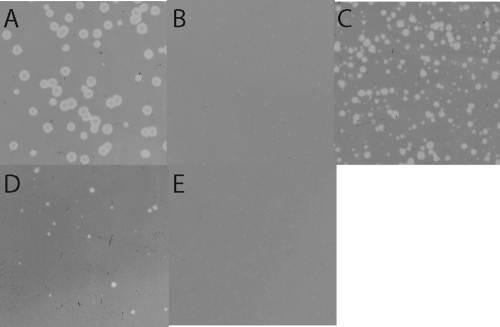 FIG. 5.