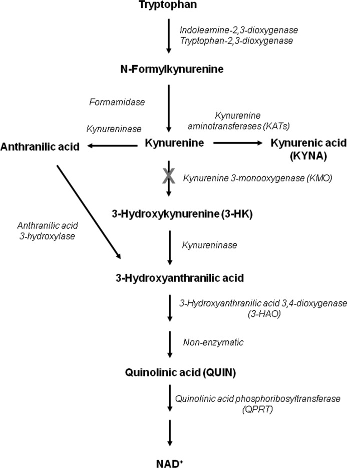 FIGURE 1.