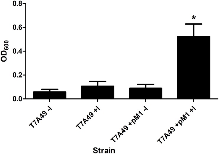 FIGURE 4