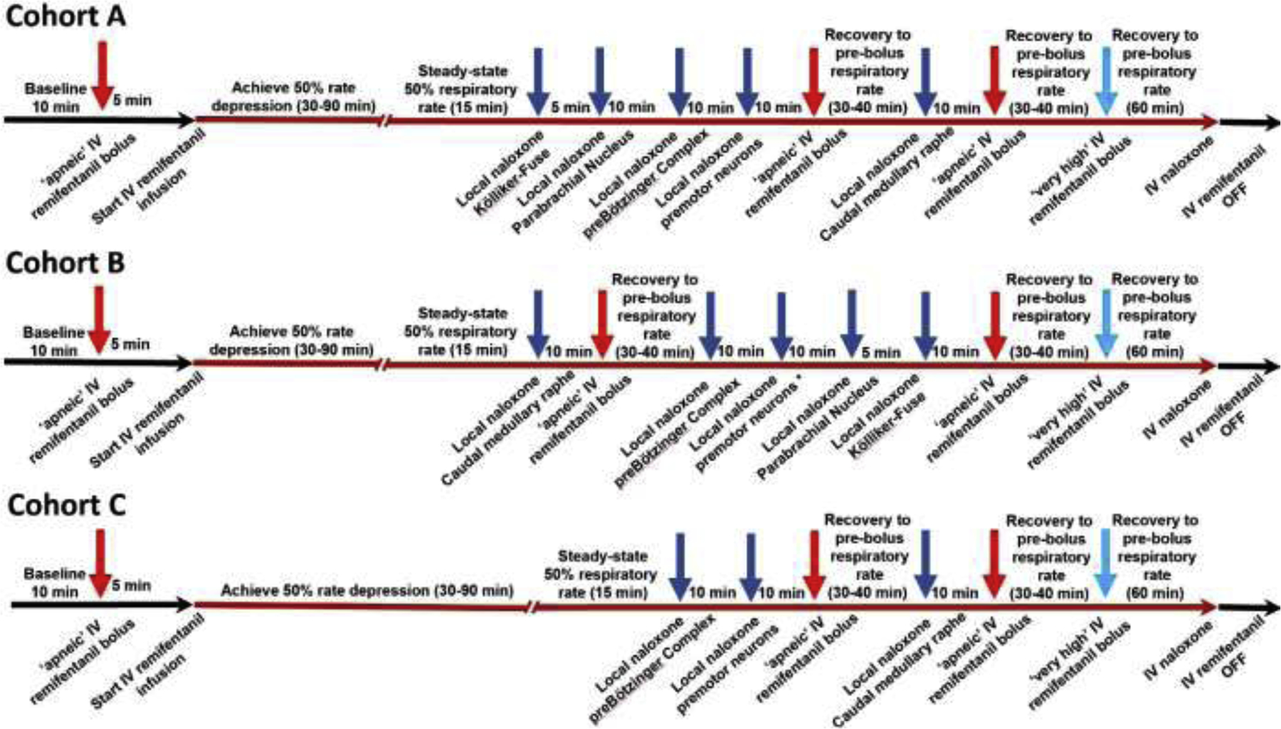 Figure 3: