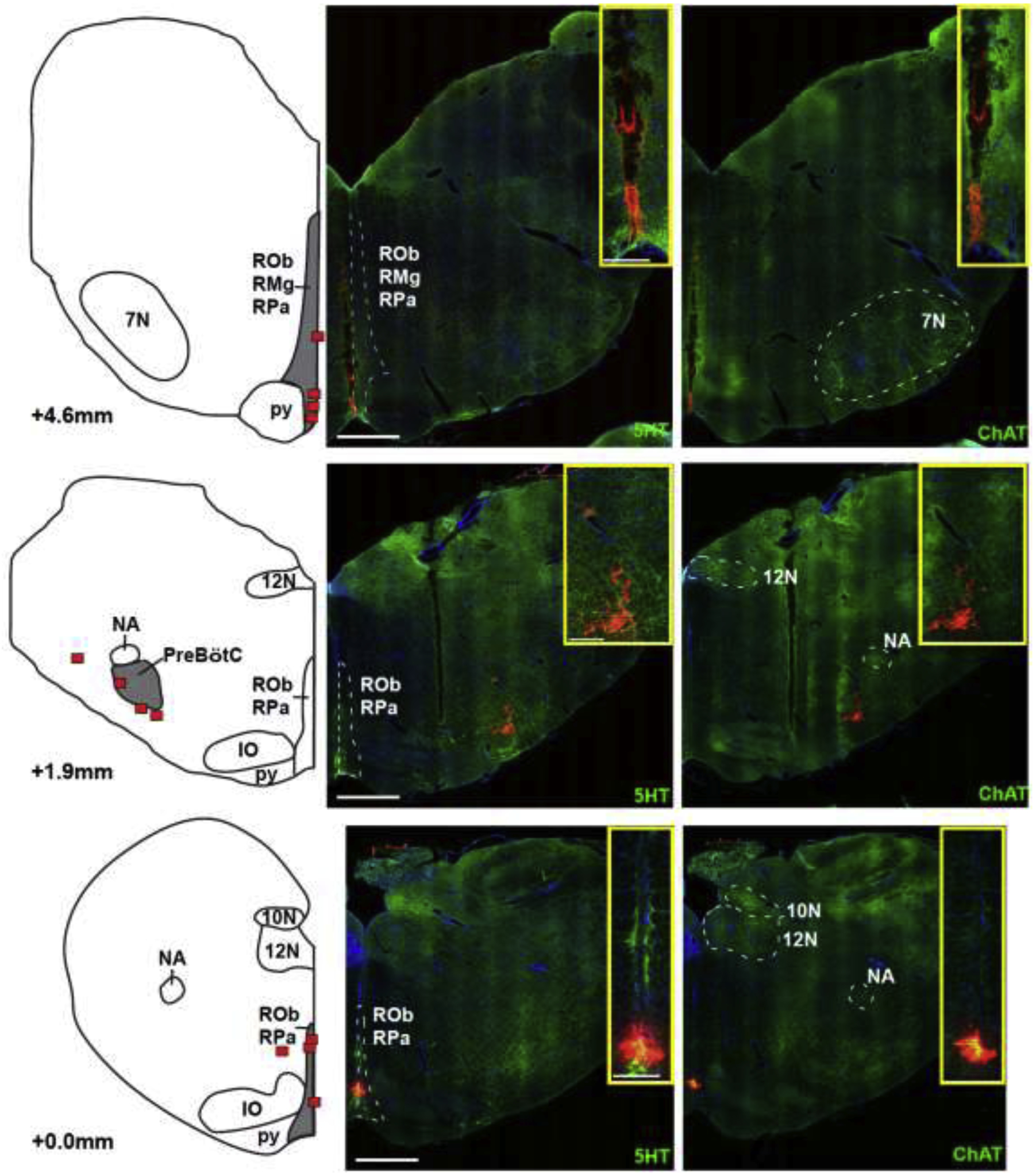 Figure 2: