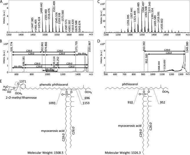 FIGURE 4.