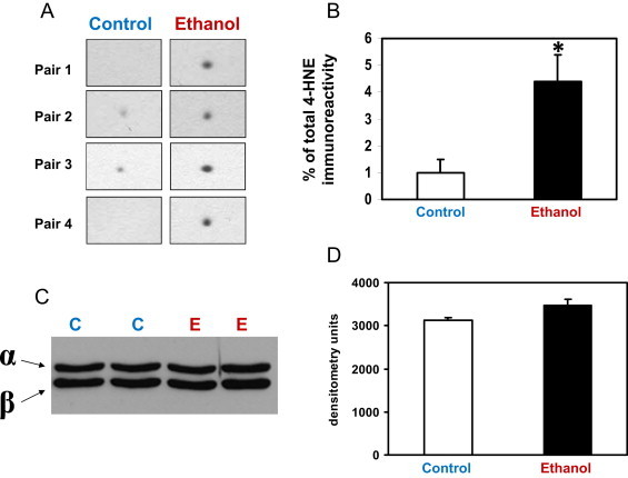 Fig 4