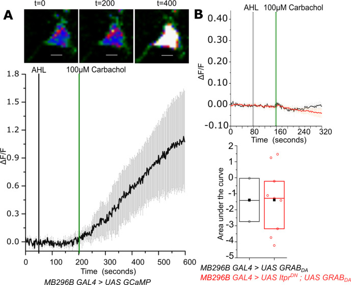 Figure 5—figure supplement 1.