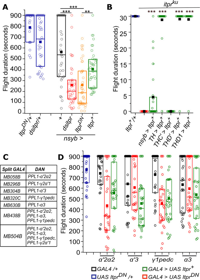 Figure 2—figure supplement 1.