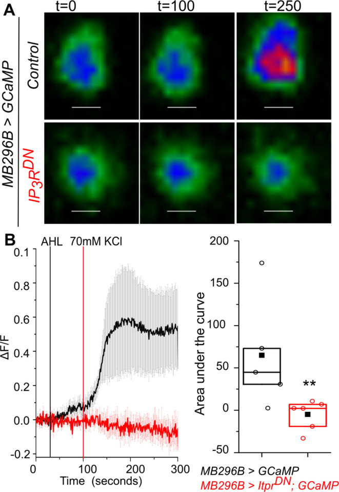 Figure 6—figure supplement 1.