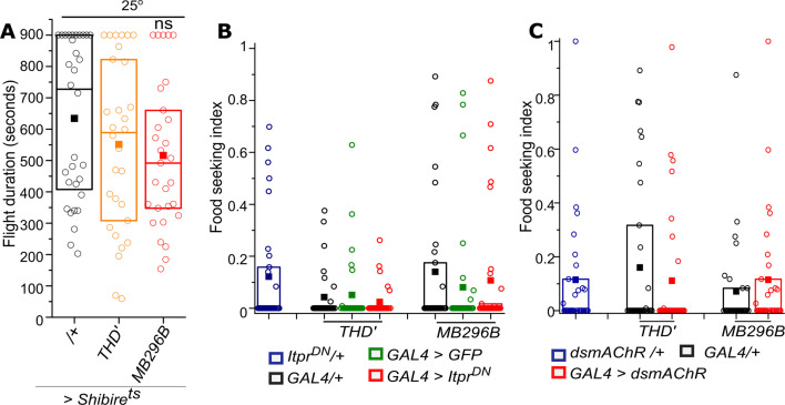 Figure 4—figure supplement 1.