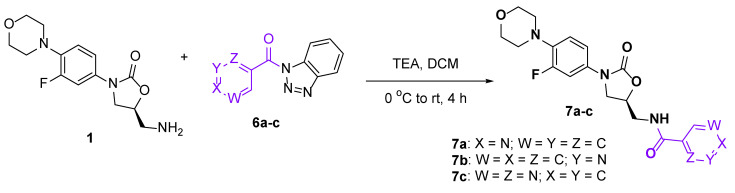 Scheme 3