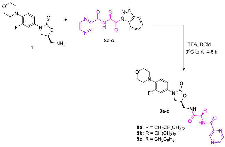 Scheme 4