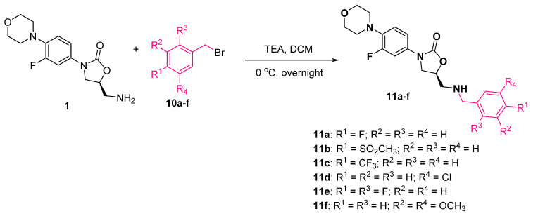 Scheme 5