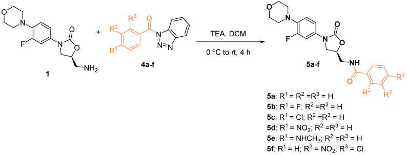 Scheme 2