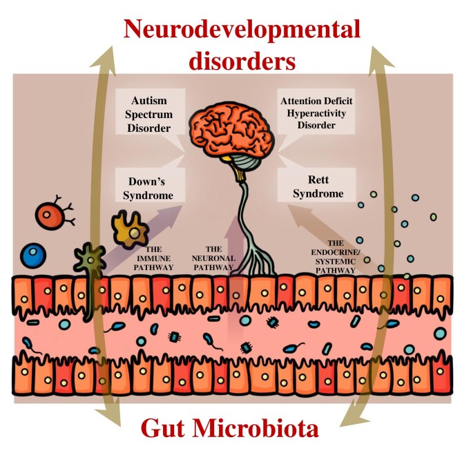 Graphical Abstract