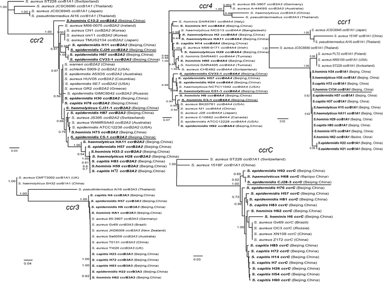 Fig. 4