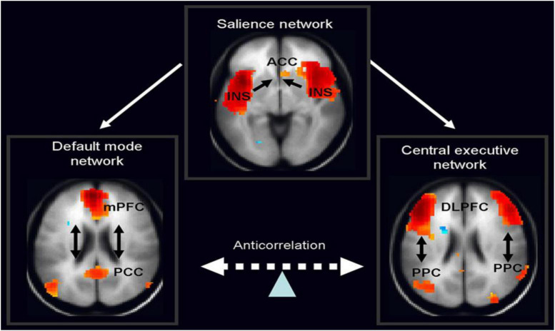 Front and center: Maturational dysregulation of frontal lobe functional ...