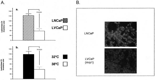 Fig. 12