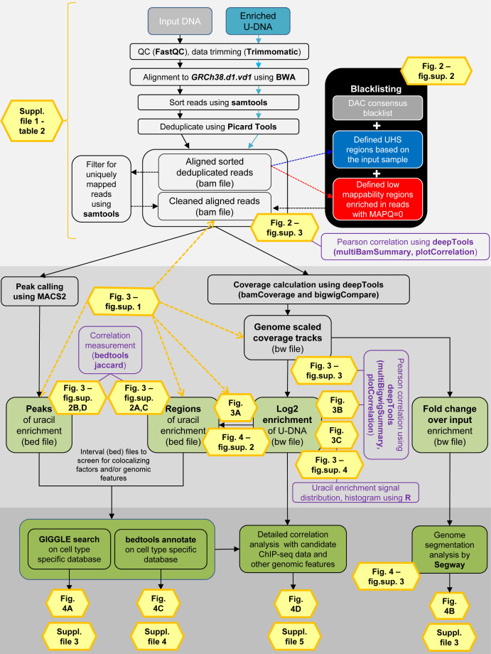 Figure 2—figure supplement 1.