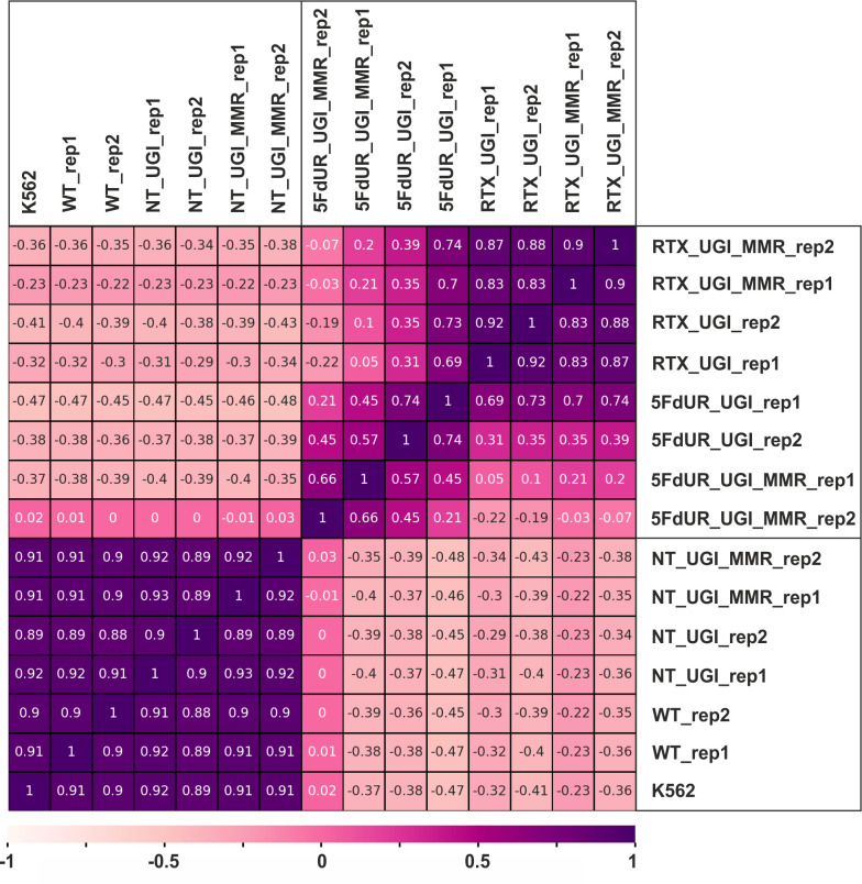 Figure 3—figure supplement 3.