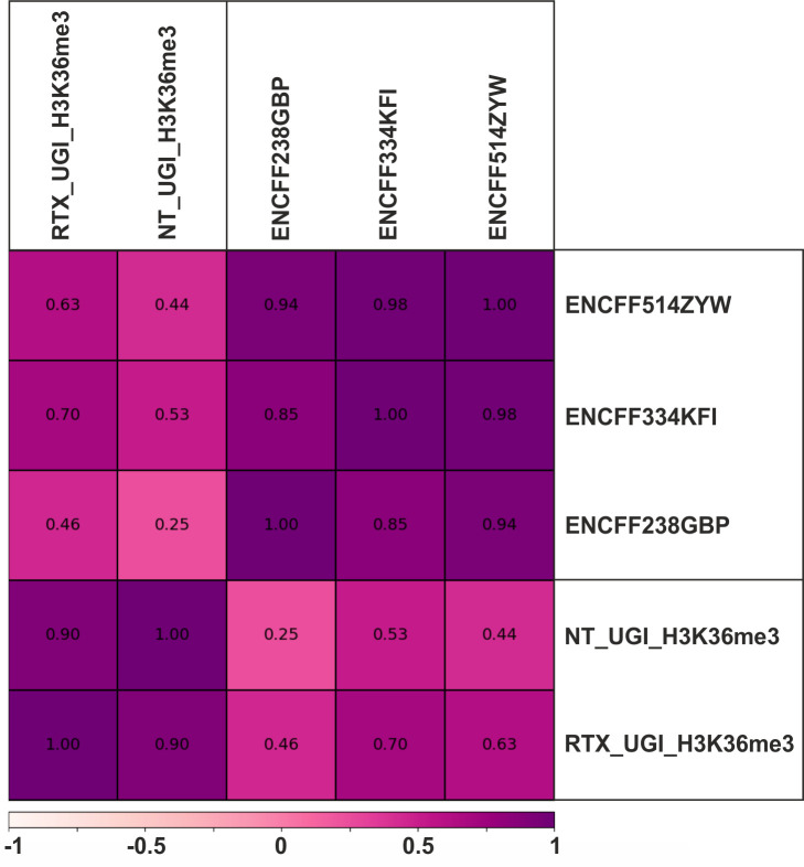 Figure 4—figure supplement 1.