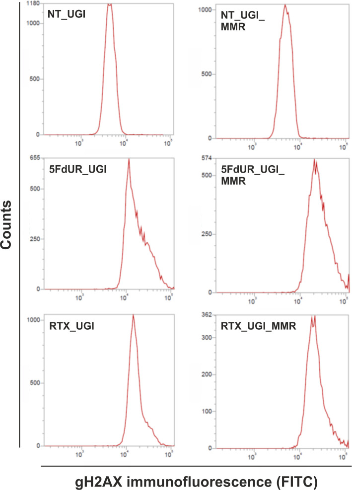 Figure 5—figure supplement 1.