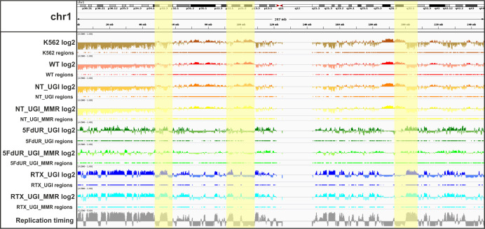 Figure 4—figure supplement 2.