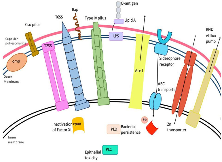 Figure 1