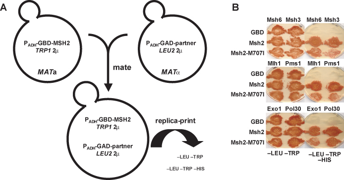 Figure 10.