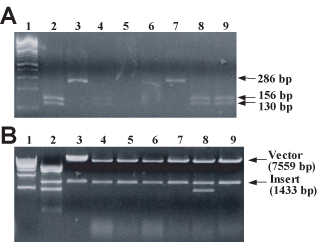 Figure 9.